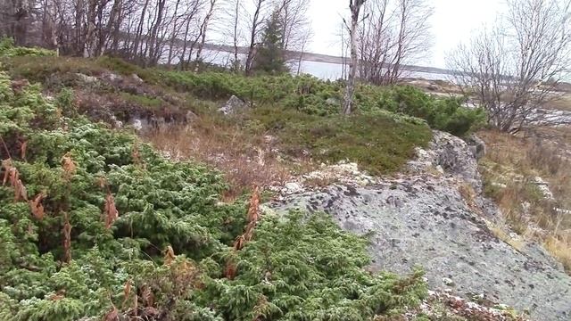 Поиск Золота по островам Белого моря!Ф-2 смотреть онлайн