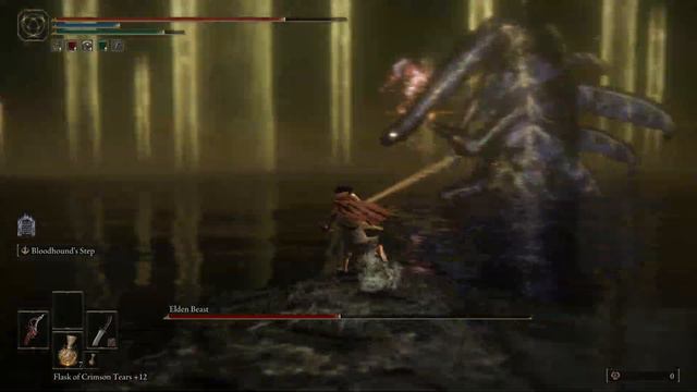 [Elden Ring] Dual Daggers VS Final Boss + Lord of Frenzied Flame Ending смотреть онлайн