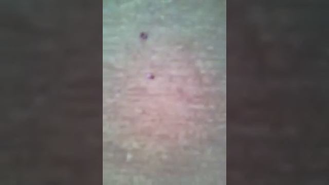 Как найти рубины смотреть онлайн