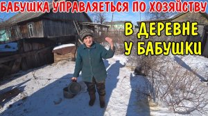 БАБУШКА КОРМИТ КОРОВ / УПРАВЛЯЕТСЯ ПО ХОЗЯЙСТВУ / КАК ЖИВЕТ БАБУШКА В ДЕРЕВНЕ / НАКОРМИЛИ КУРЕЙ