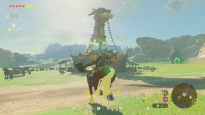 УНИКАЛЬНЫЙ ЛУТ ИЗ АМИБО (24 ШТ.) [AMIIBO, THE LEGEND OF ZELDA TEARS OF THE KINGDOM]