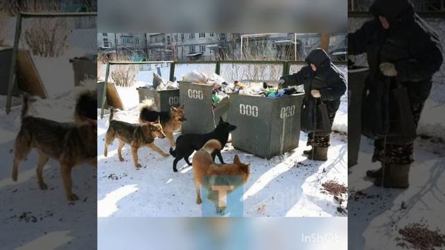 Экология Пришло время думать и действовать смотреть онлайн