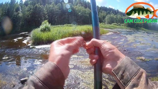 ЛОВЛЯ ХАРИУСА НА ПОПЛАВОК. РЫБАЛКА В ИЮЛЕ НА РЕКЕ 2020. смотреть онлайн