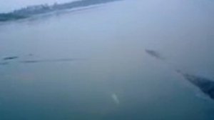 Рыбалка в Кушнаренково