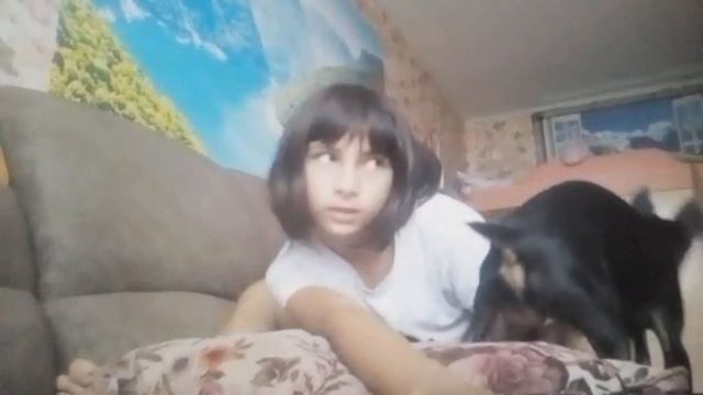 ОК Лайф Лучшее [156] смотреть онлайн