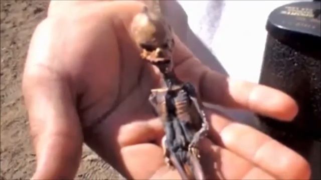 Самые жуткие существа на земле смотреть онлайн