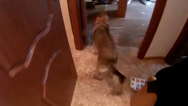 Vlog #86 Ремонт, ускоренный в 10 раз! смотреть онлайн