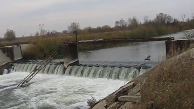Moksha River. Река Мокша. Пензенская область. смотреть онлайн