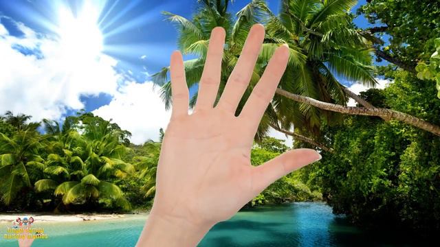 Disney Moana Finger Family Song Nursery Rhyme For Kids Children Moana Maui Hei Hei Pua Kakamora смотреть онлайн