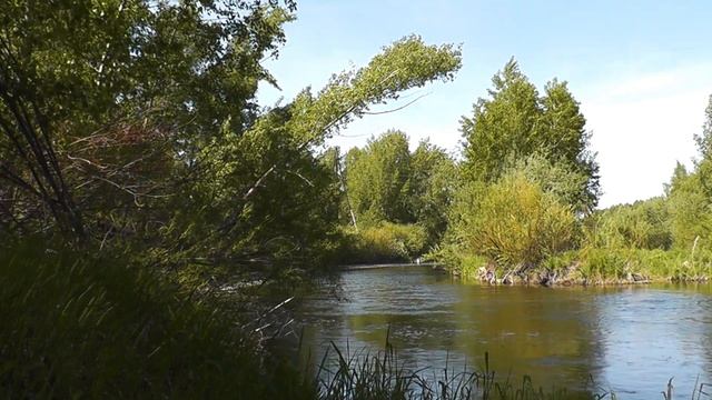 7 вещей, которые нельзя делать, если женщина нашла другого мужчину смотреть онлайн