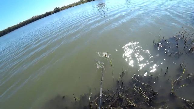 Осенняя Рыбалка в Маяках, Карпы ( сазаны ) на Глубоком Турунчуке 20.09.2021. смотреть онлайн