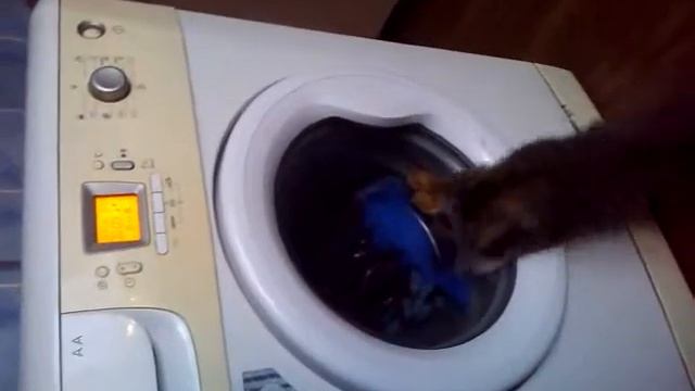 кот и стиралка смотреть онлайн