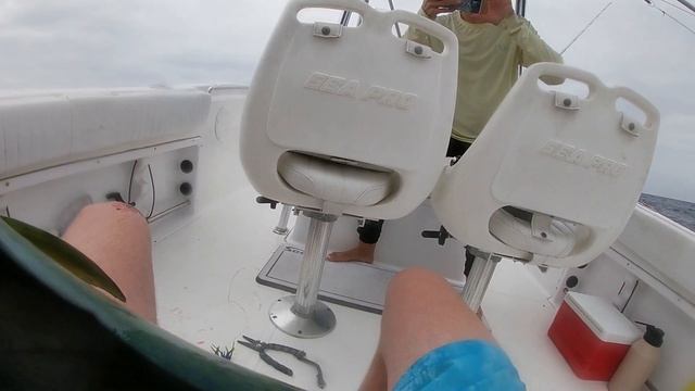GIANT DOLPHIN Caught Deep Sea Fishing! Offshore Mahi Mahi and Barracuda (St Augustine, Florida) смотреть онлайн