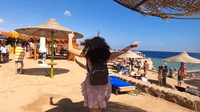 Пляж Пальма в Египте. Palma Beach. От отеля Sharming inn и il mercato 5 в Шарм Эль Шейхе смотреть онлайн