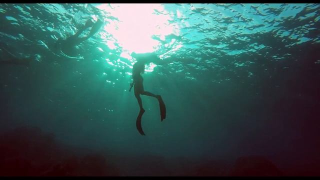 Apo Reef: Best Dive Sites Philippines