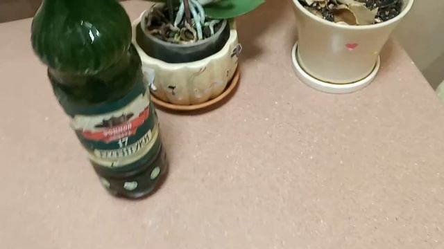 Лучшее удобрение для домашних цветов Лайфхак смотреть онлайн