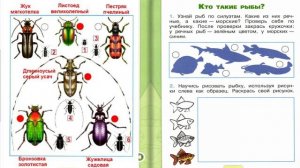 Окружающий мир. Рабочая тетрадь 1 класс 1 часть. ГДЗ стр. 20 №2