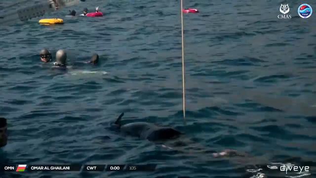 CMAS 5th Freediving World Championship Outdoor - Day 1 CWT смотреть онлайн