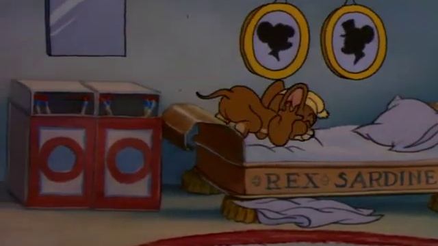 Кот играет на контрабасе смотреть онлайн