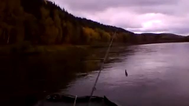 Mercury 15m stingray 3,2al. смотреть онлайн