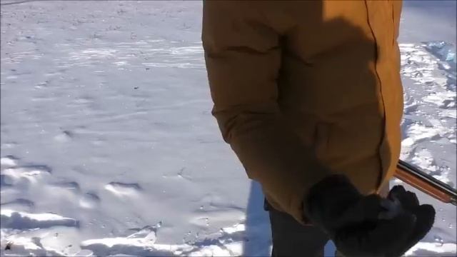 Обзор ружья Бекас-Авто 12/76