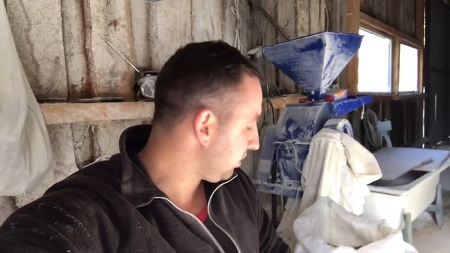 ДЕШЁВЫЙ КОРМ ДЛЯ СВИНЕЙ-ОТКОРМ СВИНЕЙ смотреть онлайн