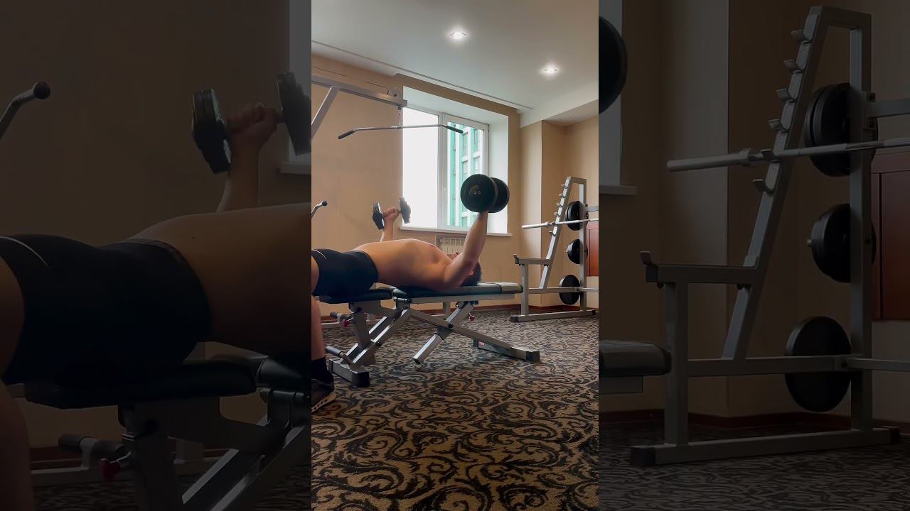 chest & triceps workout #chestworkout #triceps #workout #gym #sports #gaming #motivation смотреть онлайн