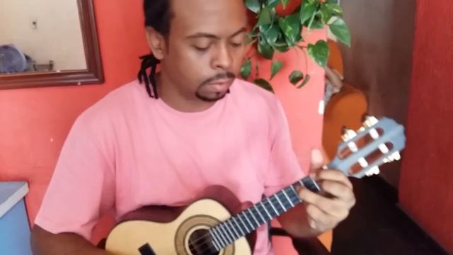 Cavaco Araújo Luthier Jacarandá 2014 смотреть онлайн