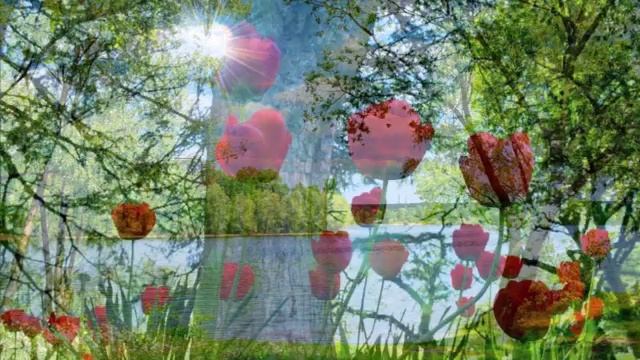 Взаимодействие двух измерений. Возвращение к Богу