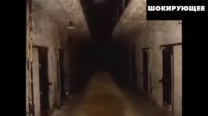 ТОП 10 Самых страшных скримеров - Попробуй не испугаться