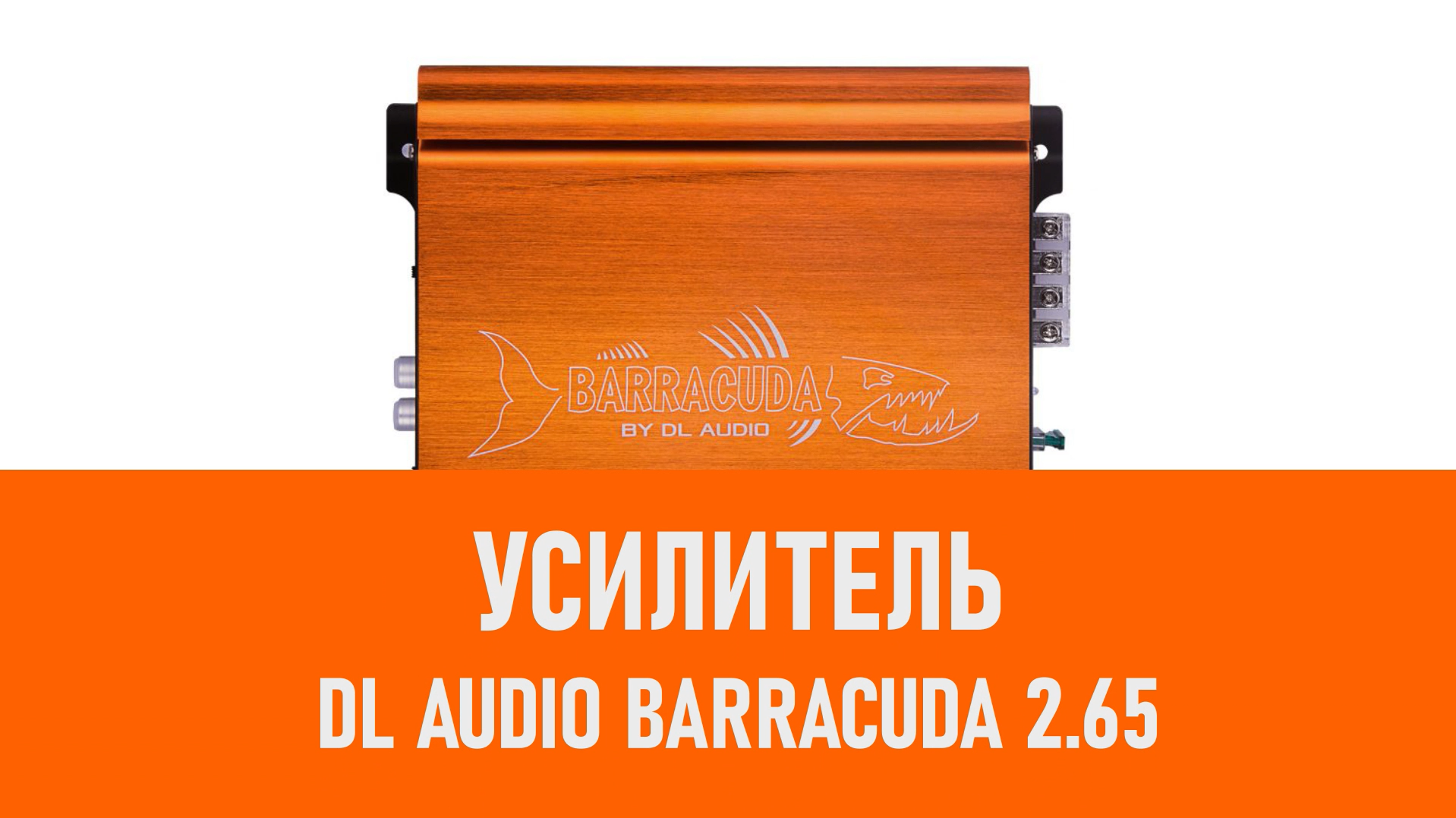Распаковка усилителя DL Audio Barracuda 2.65 смотреть онлайн