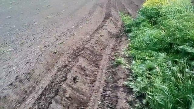 Окучивание картофеля минитрактором Видео смотреть онлайн