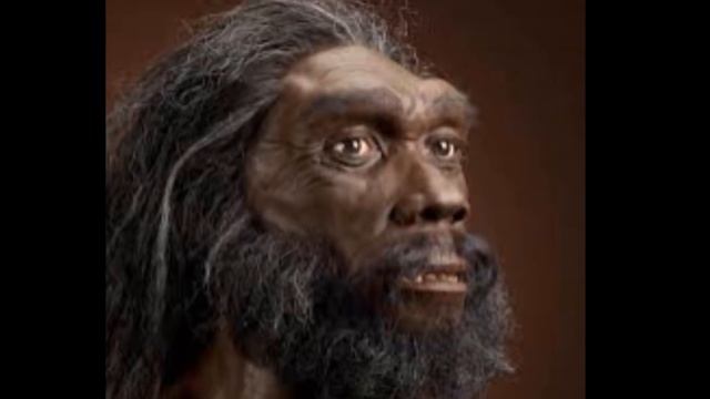 История древнего мира. Видеоучебник. 1. Первые люди. смотреть онлайн