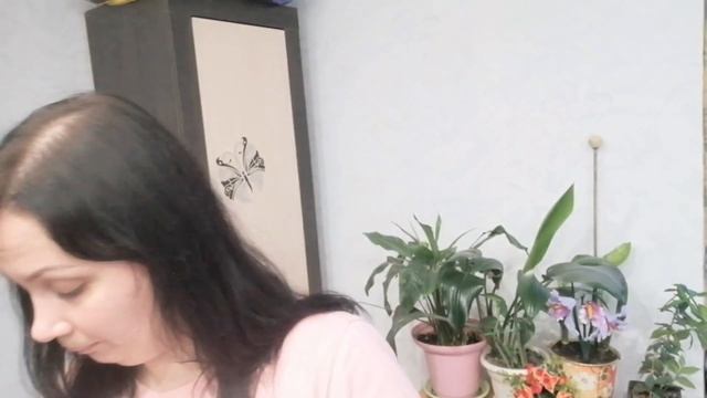 Покупаем гладиолусы в светофоре, что из этого выйдет? смотреть онлайн