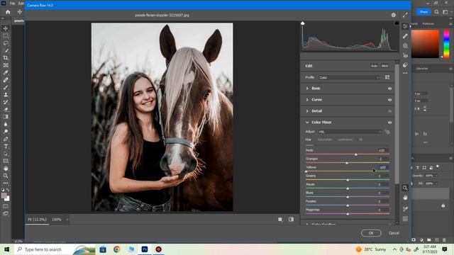 Rich Tone Effect In Photoshops | Photoshops Tutorial 2023 | Camera raw 2023 | смотреть онлайн