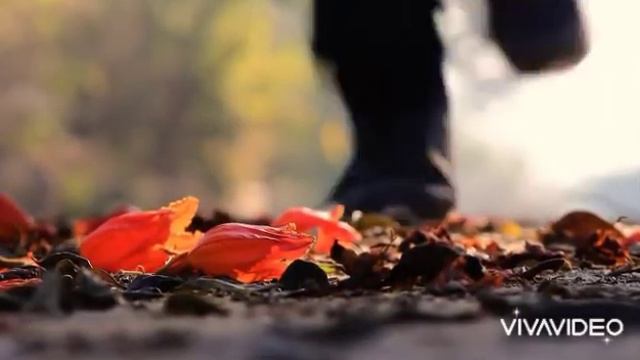 Последняя осень./ Музыка и слова Андрея Шуркова/.