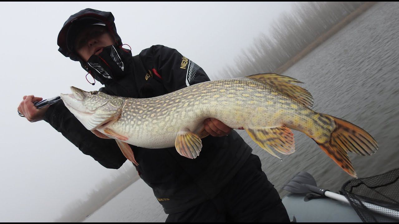Последняя рыбалка 2019. Поклевки трофеев на закрытие сезона.