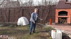 ОСНОВНЫЕ РАБОТЫ В САДУ В АПРЕЛЕ!