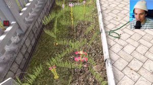 ИГРАЮ С ЧИТАМИ В SCHOOLBOY RUNAWAY