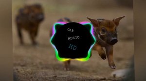 Бегает по полю весело кабанчик (Remix by Crab1k)