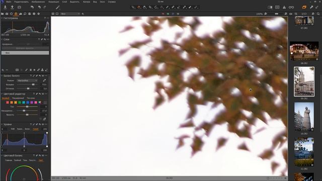 CANON RF 50 1.8 STM - обзор на реальных фото