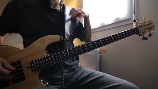 New Bass Preamp \o/ Demeter VTBP-201s смотреть онлайн