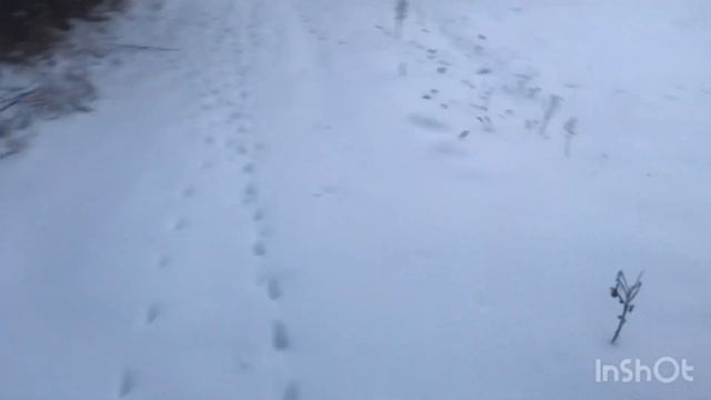 Опять гуляю на берегу часть? смотреть онлайн