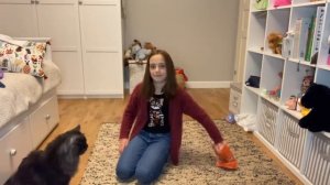 Как научить кота команде сидеть