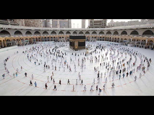 Красивое чтение Корана.Makkah Live. Чтец: Рзкари Курди / Rzgar Kurdy