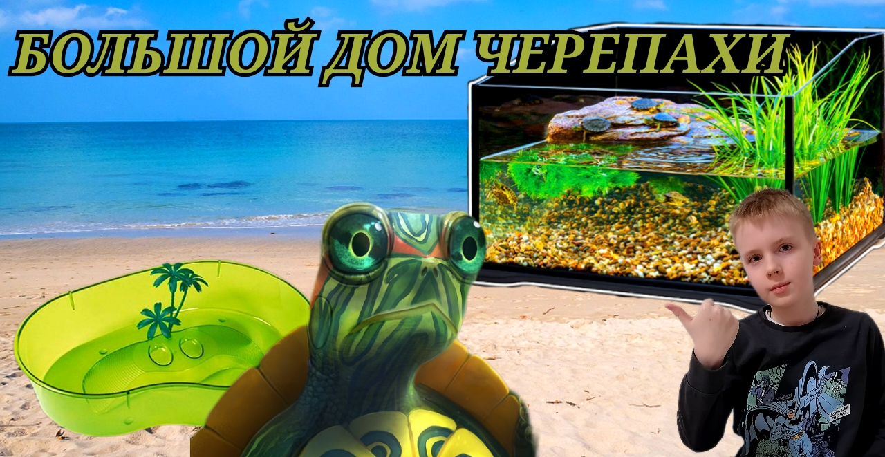 Купили с Устином новый дом для черепахи Мивы. смотреть онлайн