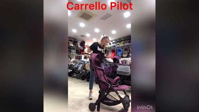 Carrello Pilot ✈️