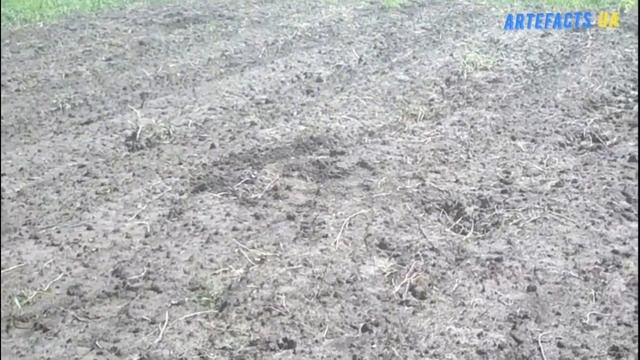 Виходи за травень, пошук з металошукачем Garrett At Max (срібло, монетки Австрії, царизм) смотреть онлайн