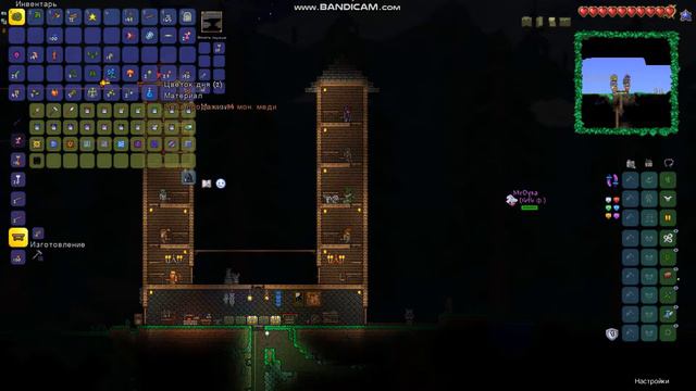 5 ё-ёшников|Прохождение террария 1.4|Король слизней смотреть онлайн