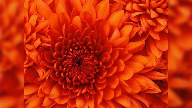 2 Unlimited Hypnotised